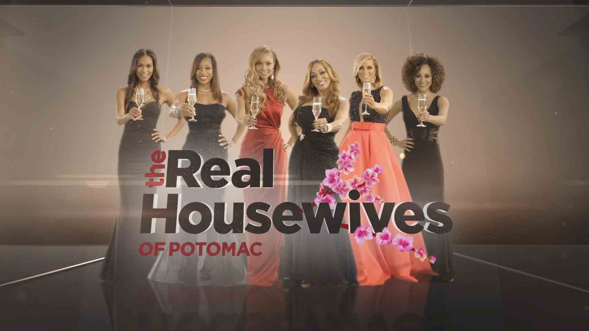 The Real Housewives Of Potomac Taglines Really Show How New These Ladies Are To The Show — Video